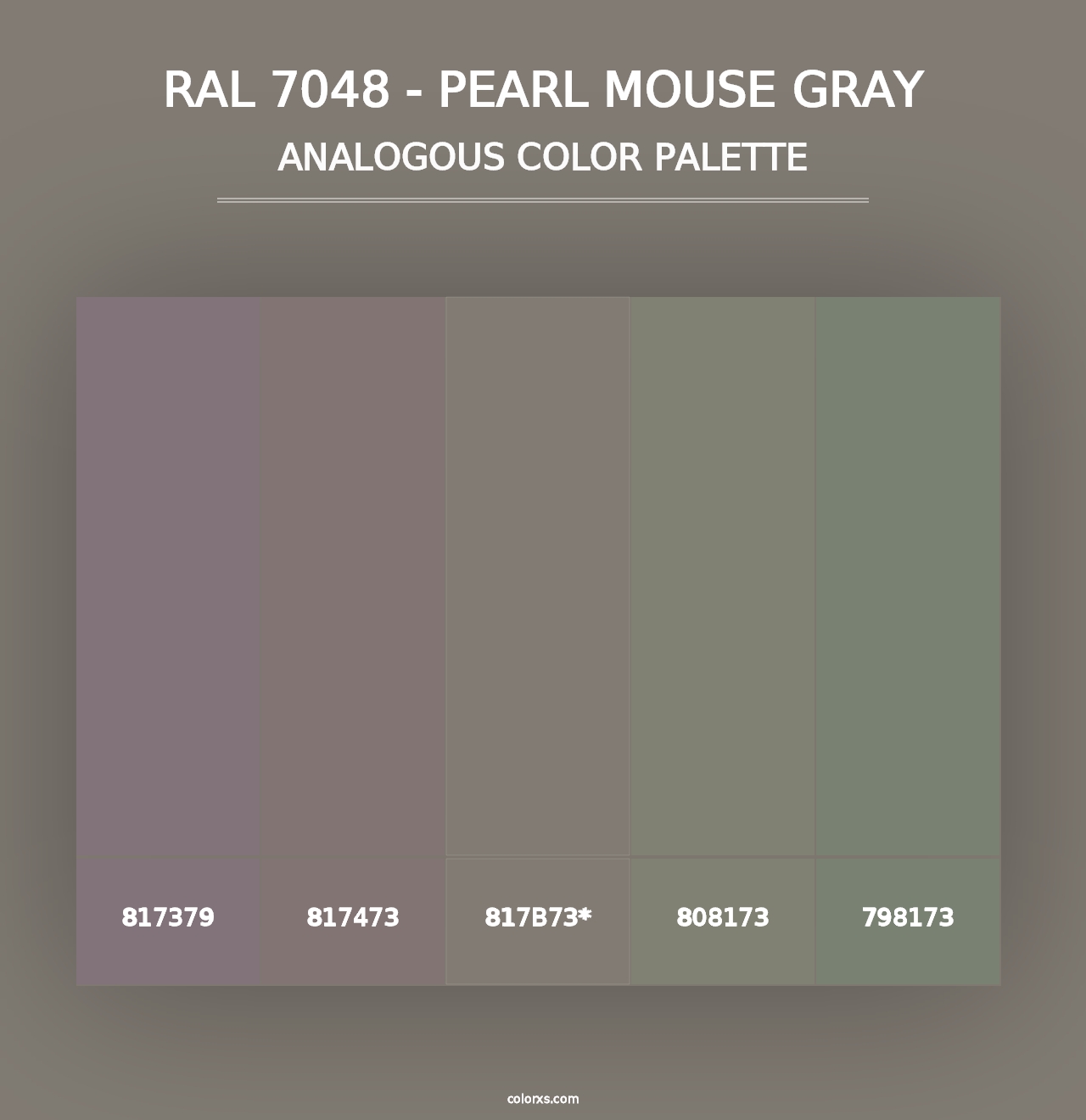 RAL 7048 - Pearl Mouse Gray - Analogous Color Palette