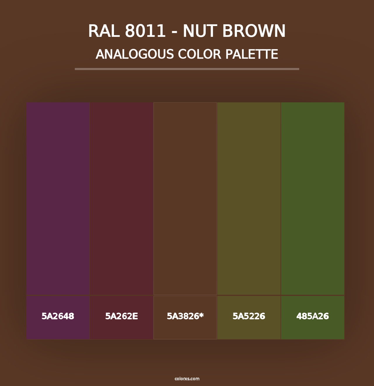 RAL 8011 - Nut Brown - Analogous Color Palette