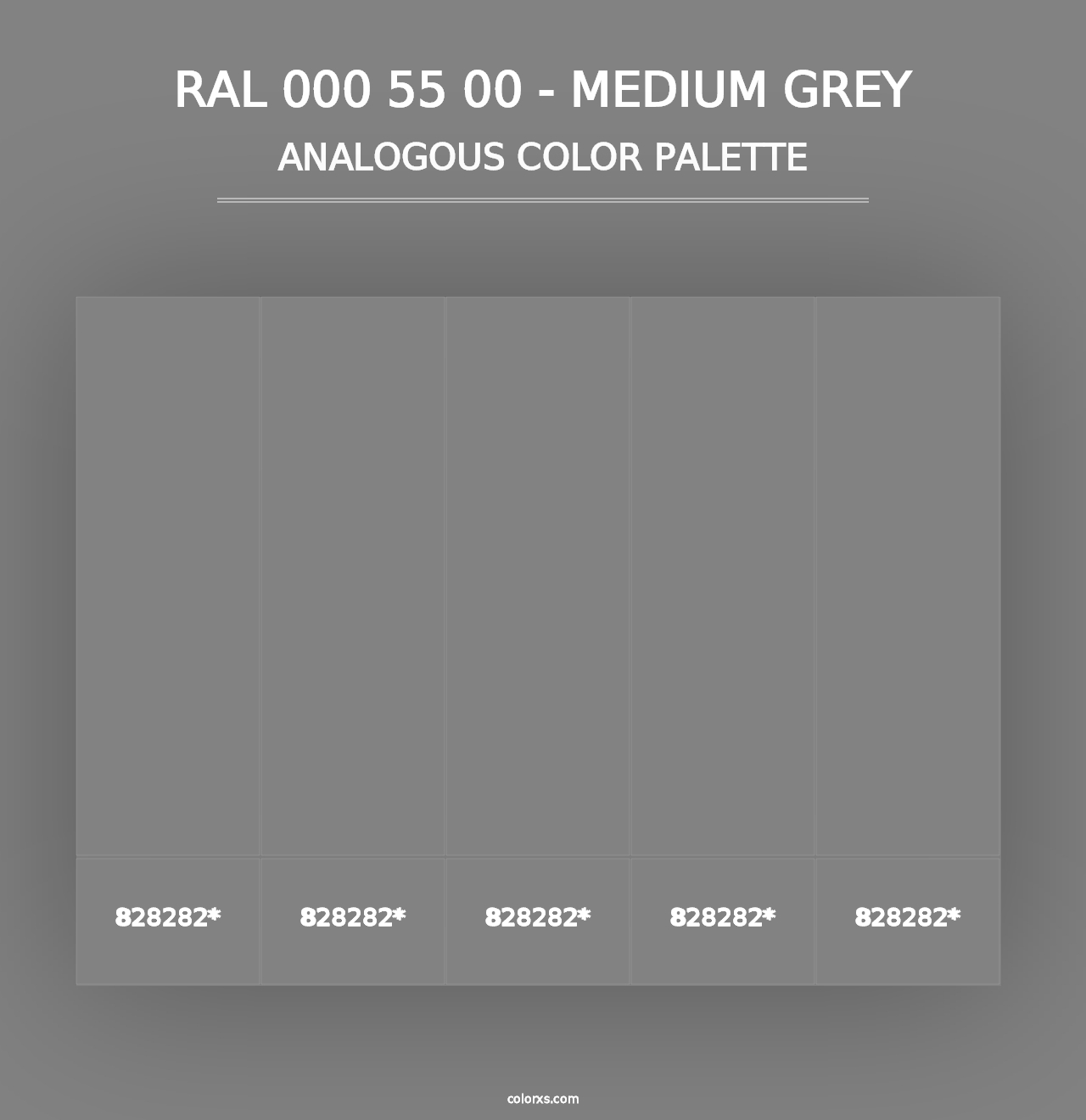 RAL 000 55 00 - Medium Grey - Analogous Color Palette