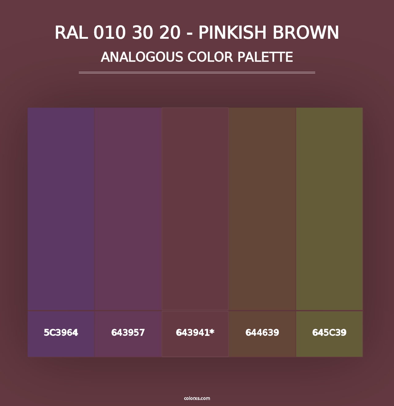 RAL 010 30 20 - Pinkish Brown - Analogous Color Palette