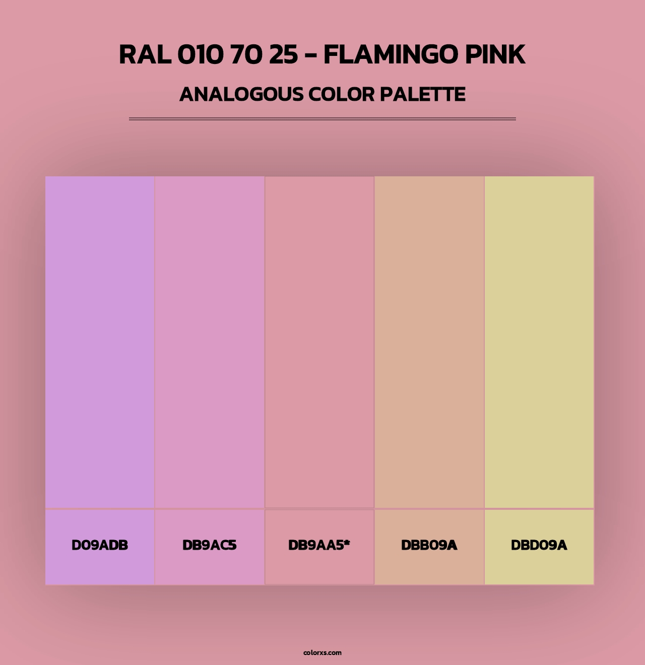 RAL 010 70 25 - Flamingo Pink - Analogous Color Palette