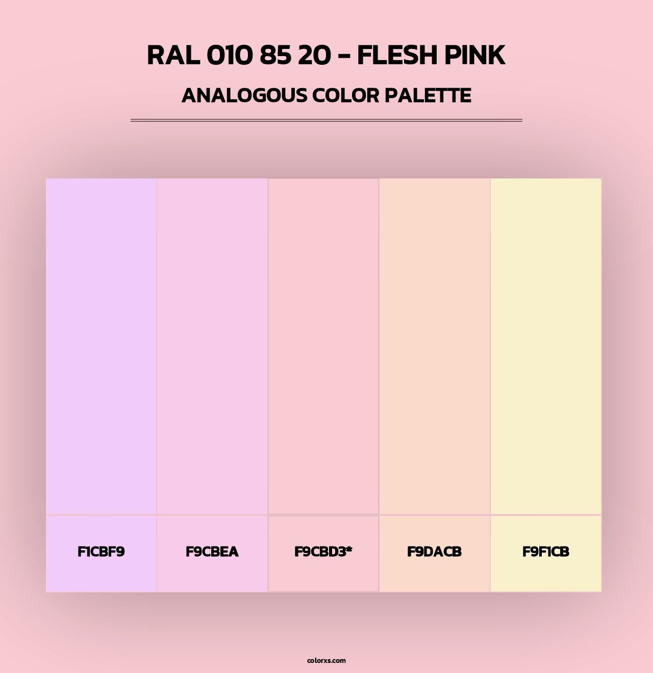 RAL 010 85 20 - Flesh Pink - Analogous Color Palette