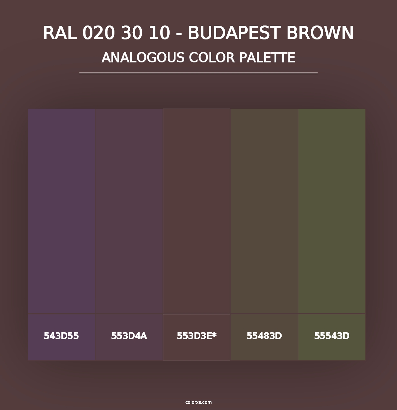 RAL 020 30 10 - Budapest Brown - Analogous Color Palette