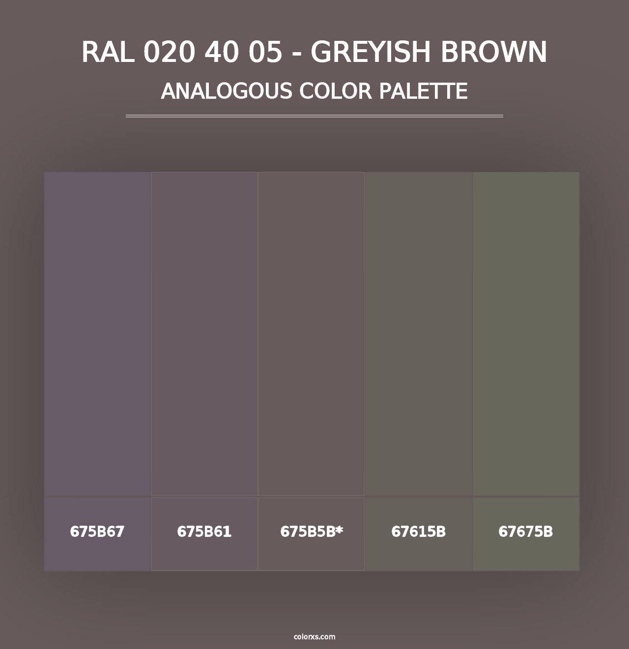 RAL 020 40 05 - Greyish Brown - Analogous Color Palette