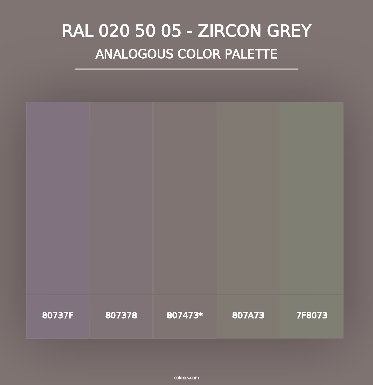 RAL 020 50 05 - Zircon Grey - Analogous Color Palette