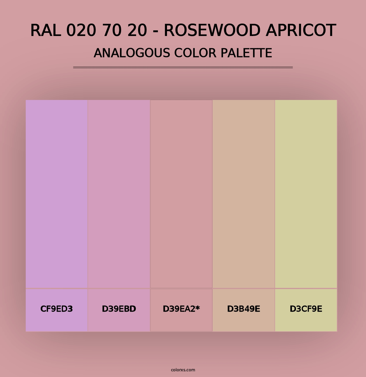 RAL 020 70 20 - Rosewood Apricot - Analogous Color Palette