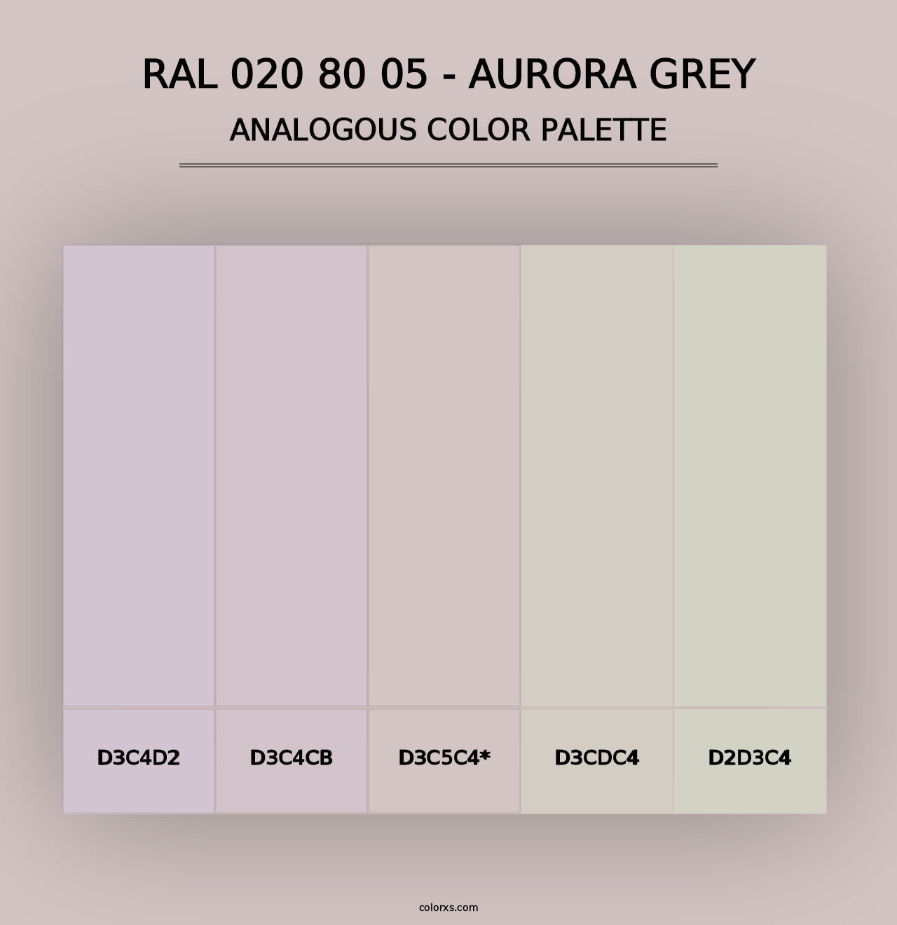 RAL 020 80 05 - Aurora Grey - Analogous Color Palette