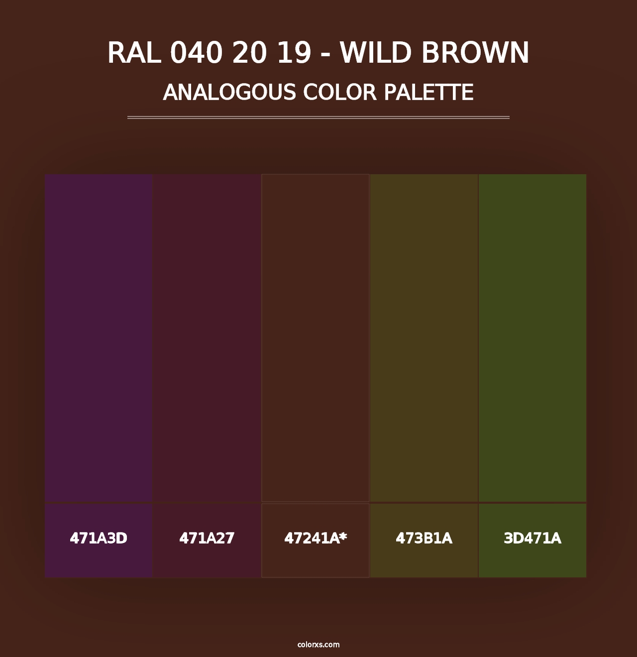 RAL 040 20 19 - Wild Brown - Analogous Color Palette