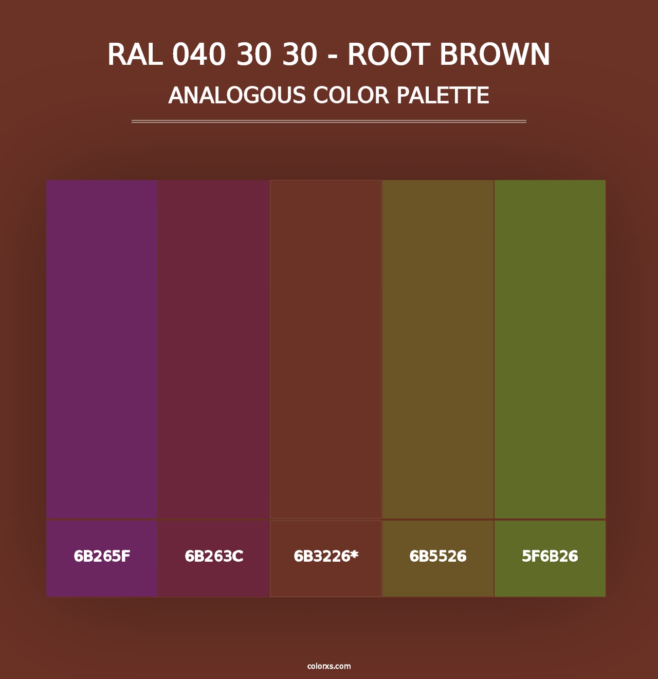 RAL 040 30 30 - Root Brown - Analogous Color Palette