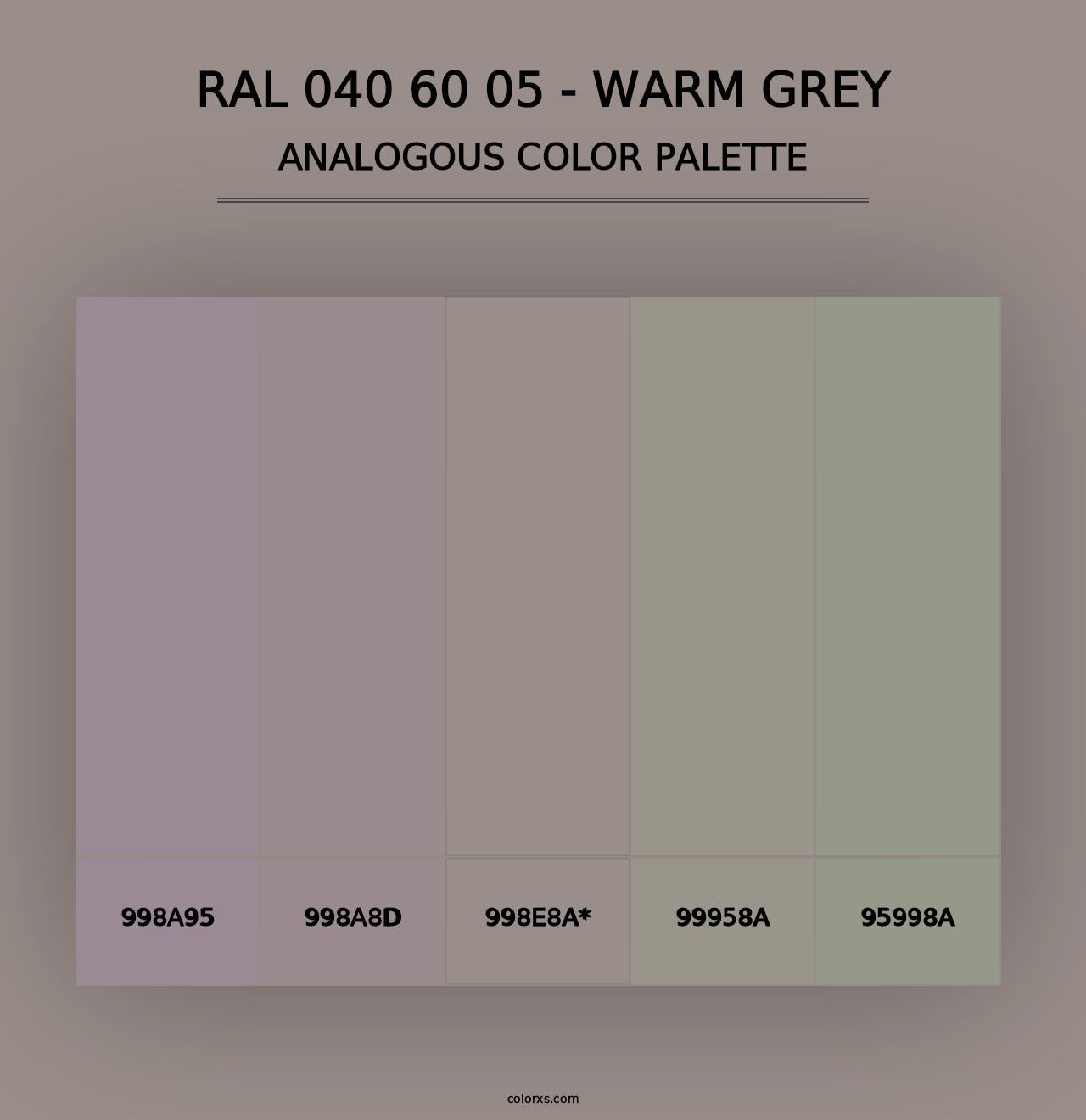 RAL 040 60 05 - Warm Grey - Analogous Color Palette