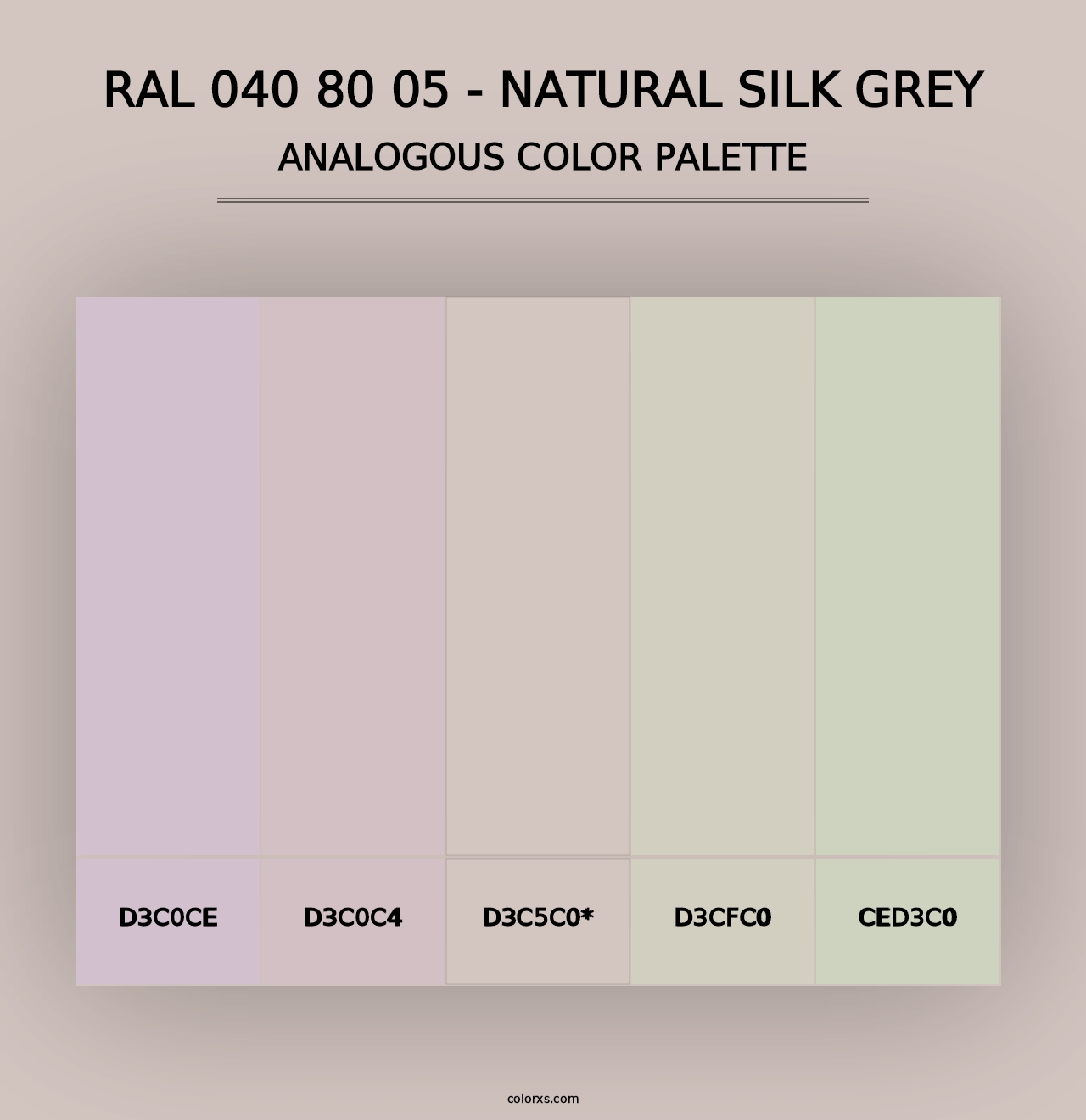 RAL 040 80 05 - Natural Silk Grey - Analogous Color Palette