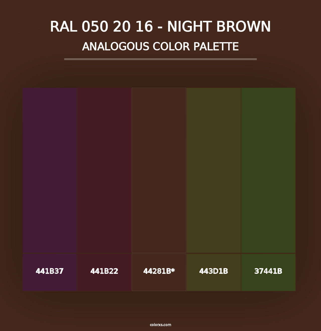 RAL 050 20 16 - Night Brown - Analogous Color Palette