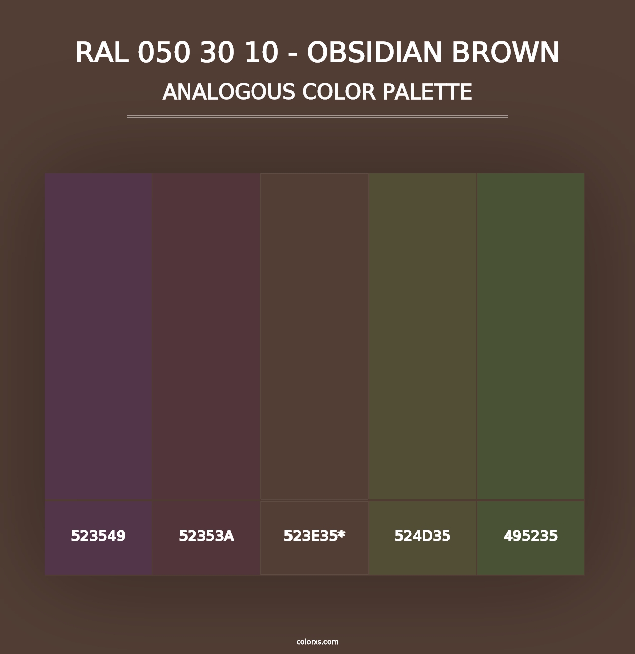 RAL 050 30 10 - Obsidian Brown - Analogous Color Palette