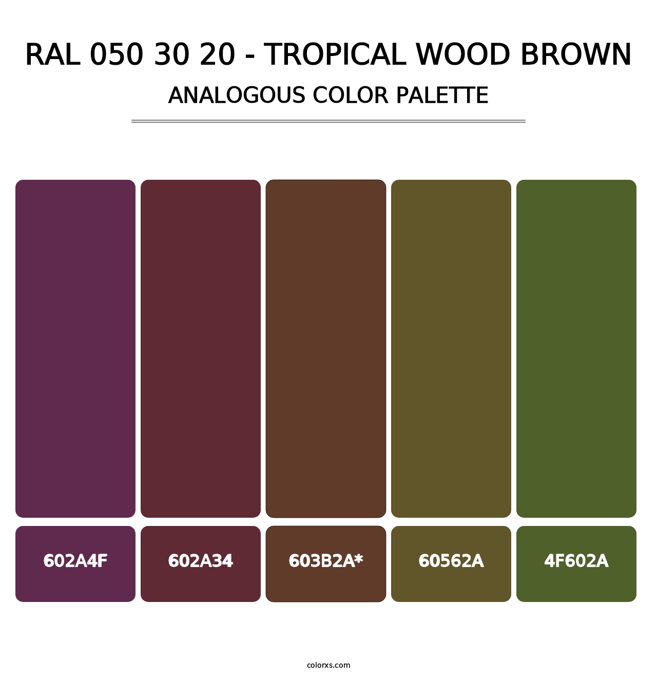 RAL 050 30 20 - Tropical Wood Brown - Analogous Color Palette