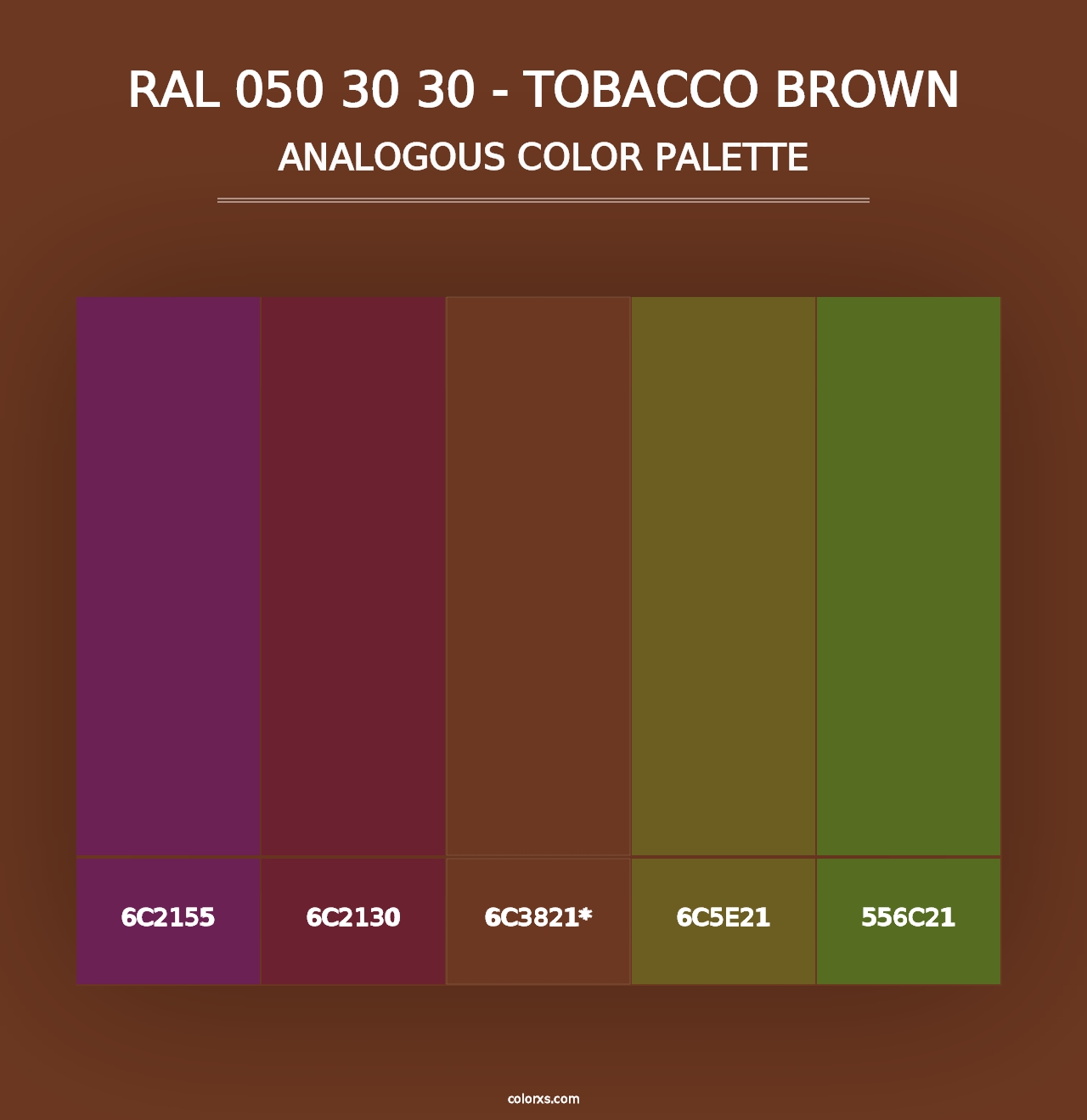 RAL 050 30 30 - Tobacco Brown - Analogous Color Palette