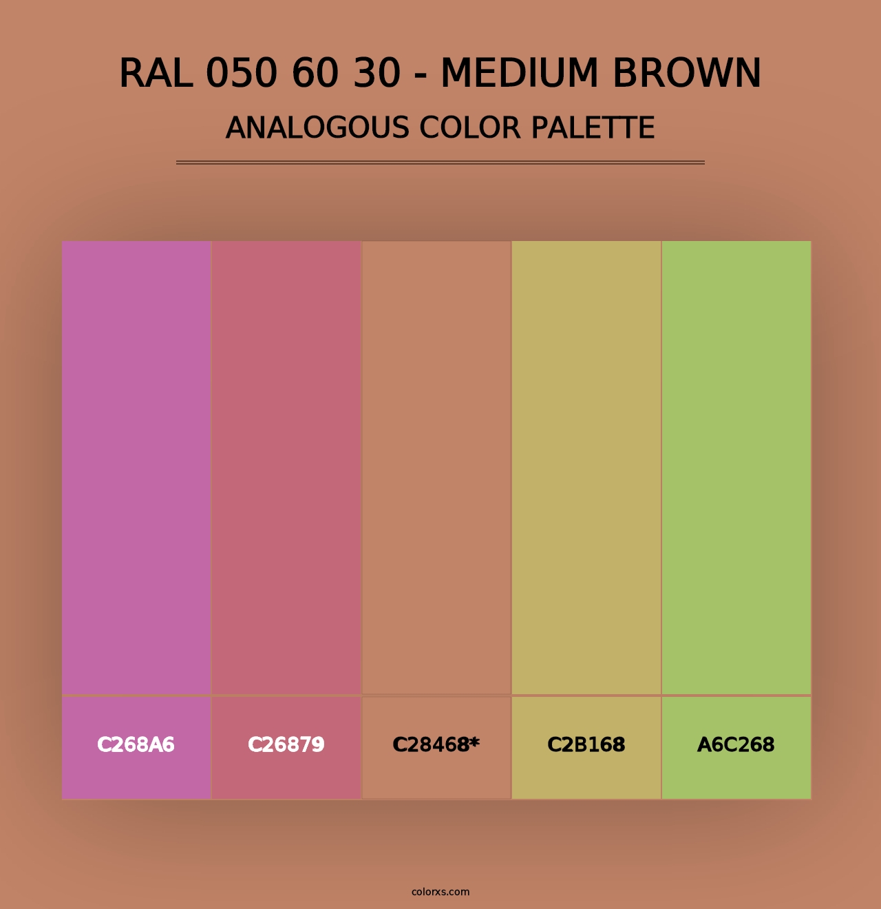 RAL 050 60 30 - Medium Brown - Analogous Color Palette