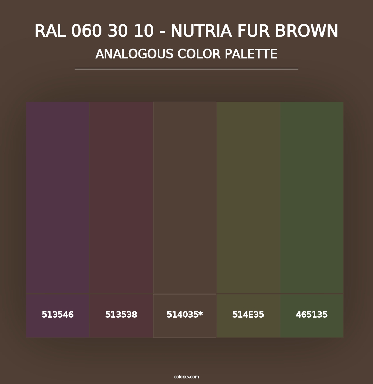 RAL 060 30 10 - Nutria Fur Brown - Analogous Color Palette