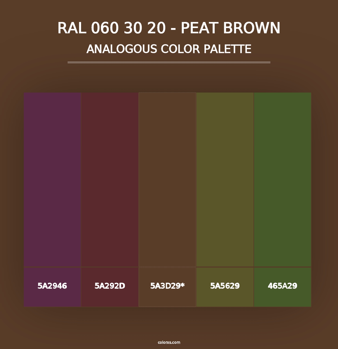 RAL 060 30 20 - Peat Brown - Analogous Color Palette