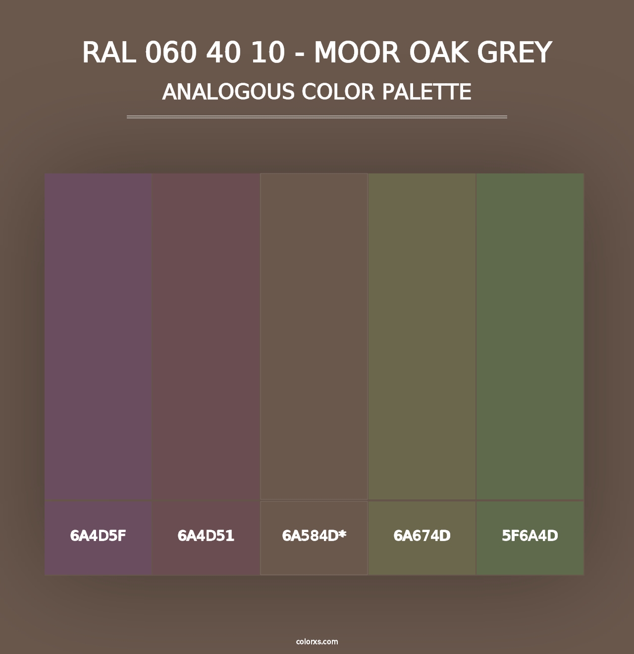 RAL 060 40 10 - Moor Oak Grey - Analogous Color Palette