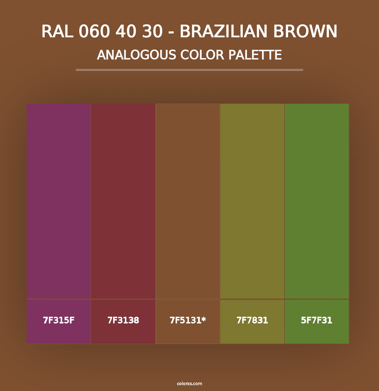 RAL 060 40 30 - Brazilian Brown - Analogous Color Palette