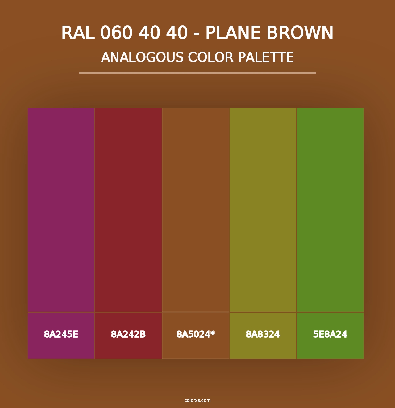 RAL 060 40 40 - Plane Brown - Analogous Color Palette