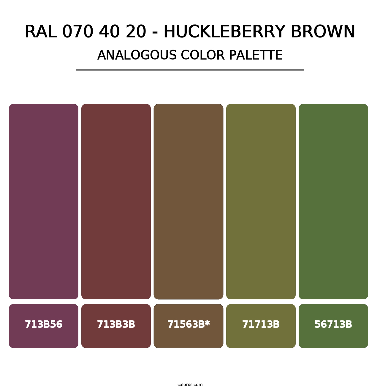 RAL 070 40 20 - Huckleberry Brown - Analogous Color Palette