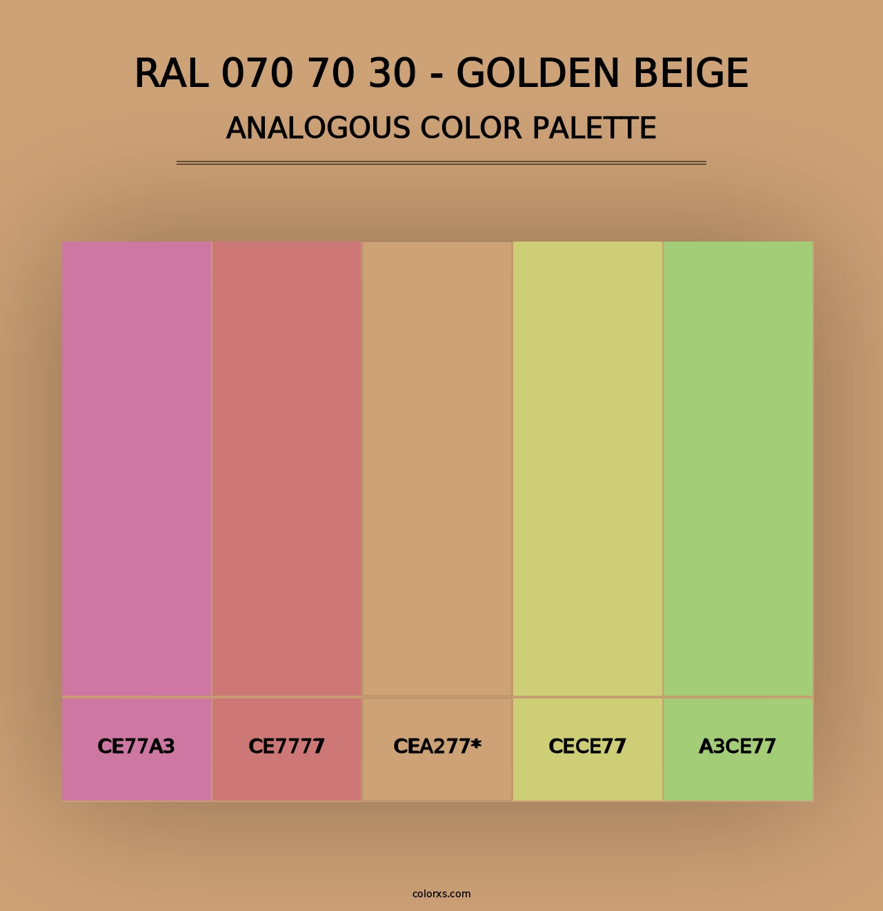 RAL 070 70 30 - Golden Beige - Analogous Color Palette