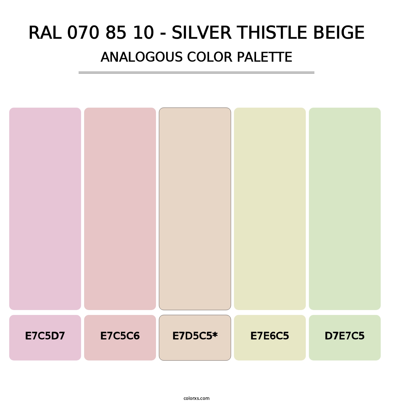 RAL 070 85 10 - Silver Thistle Beige - Analogous Color Palette