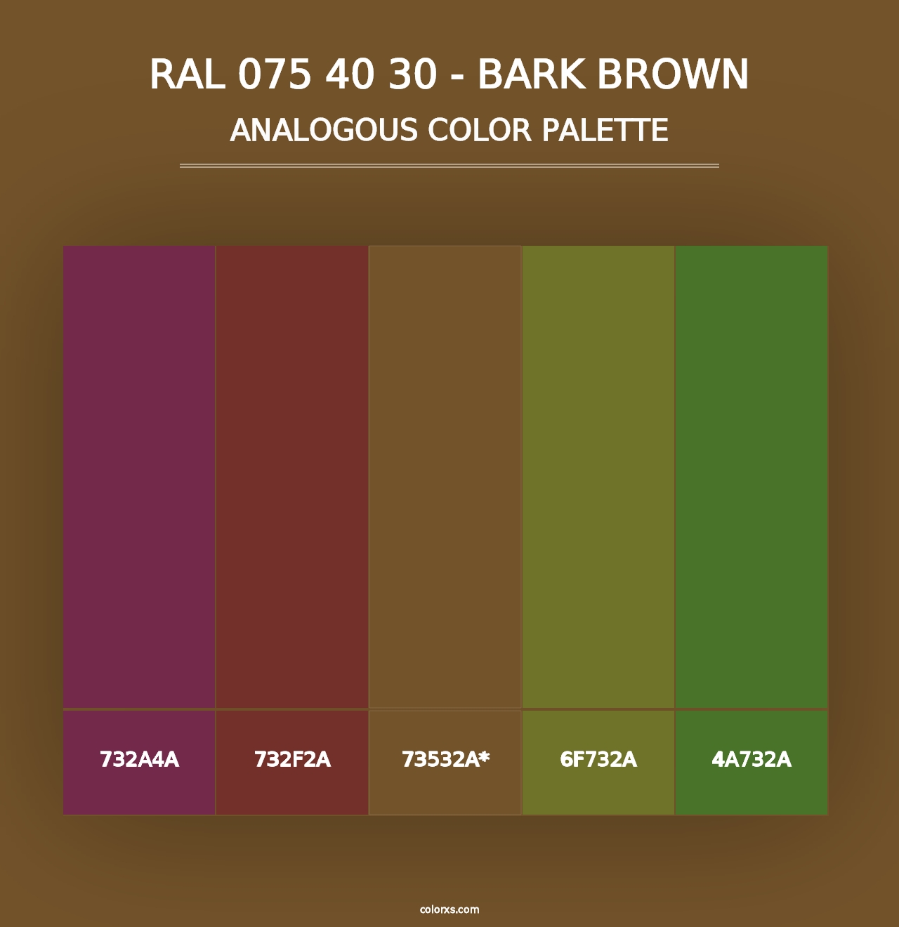 RAL 075 40 30 - Bark Brown - Analogous Color Palette