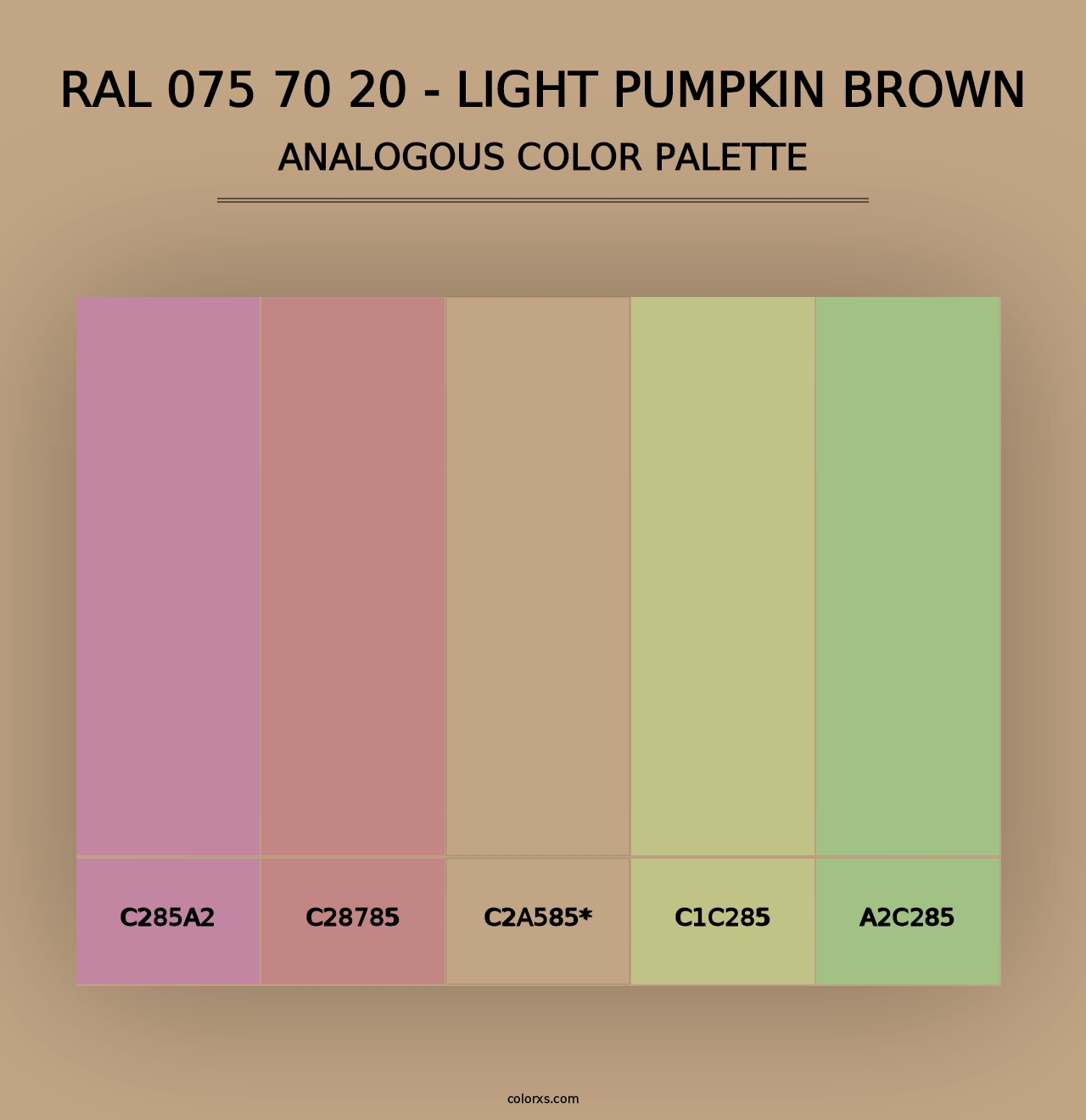 RAL 075 70 20 - Light Pumpkin Brown - Analogous Color Palette