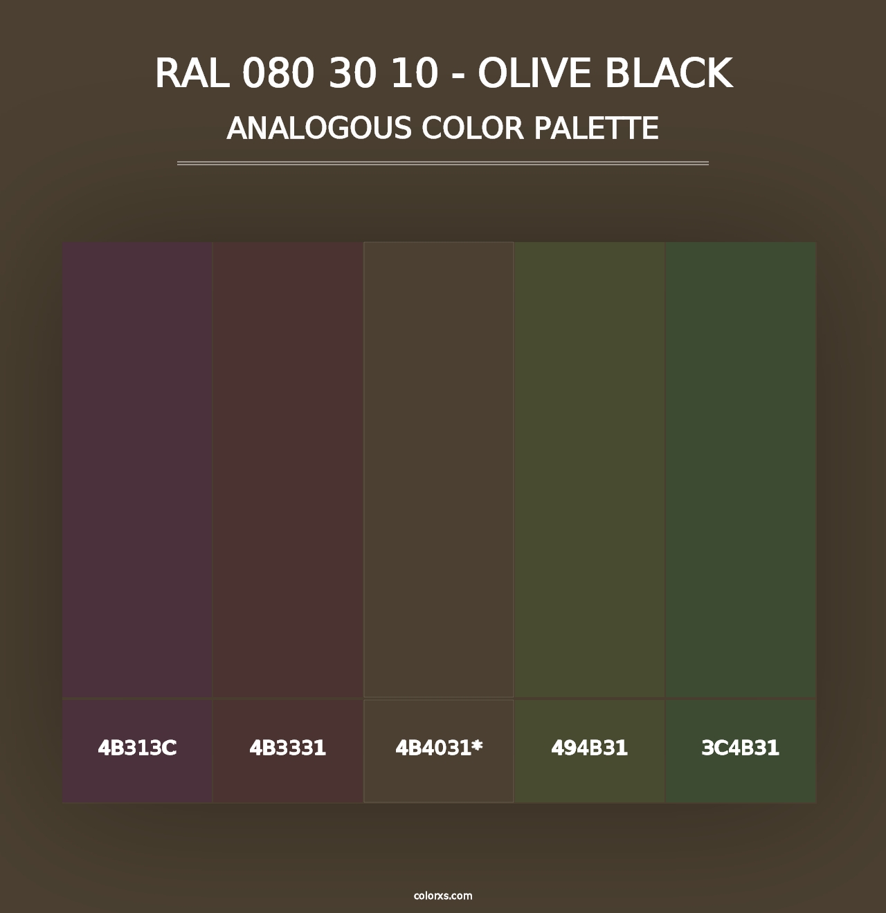 RAL 080 30 10 - Olive Black - Analogous Color Palette