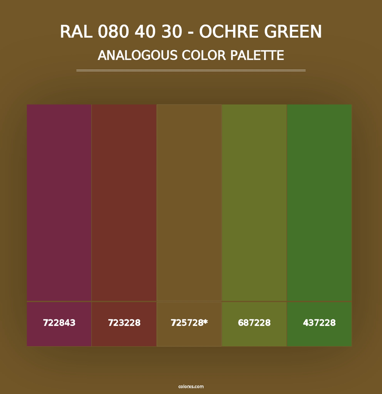 RAL 080 40 30 - Ochre Green - Analogous Color Palette