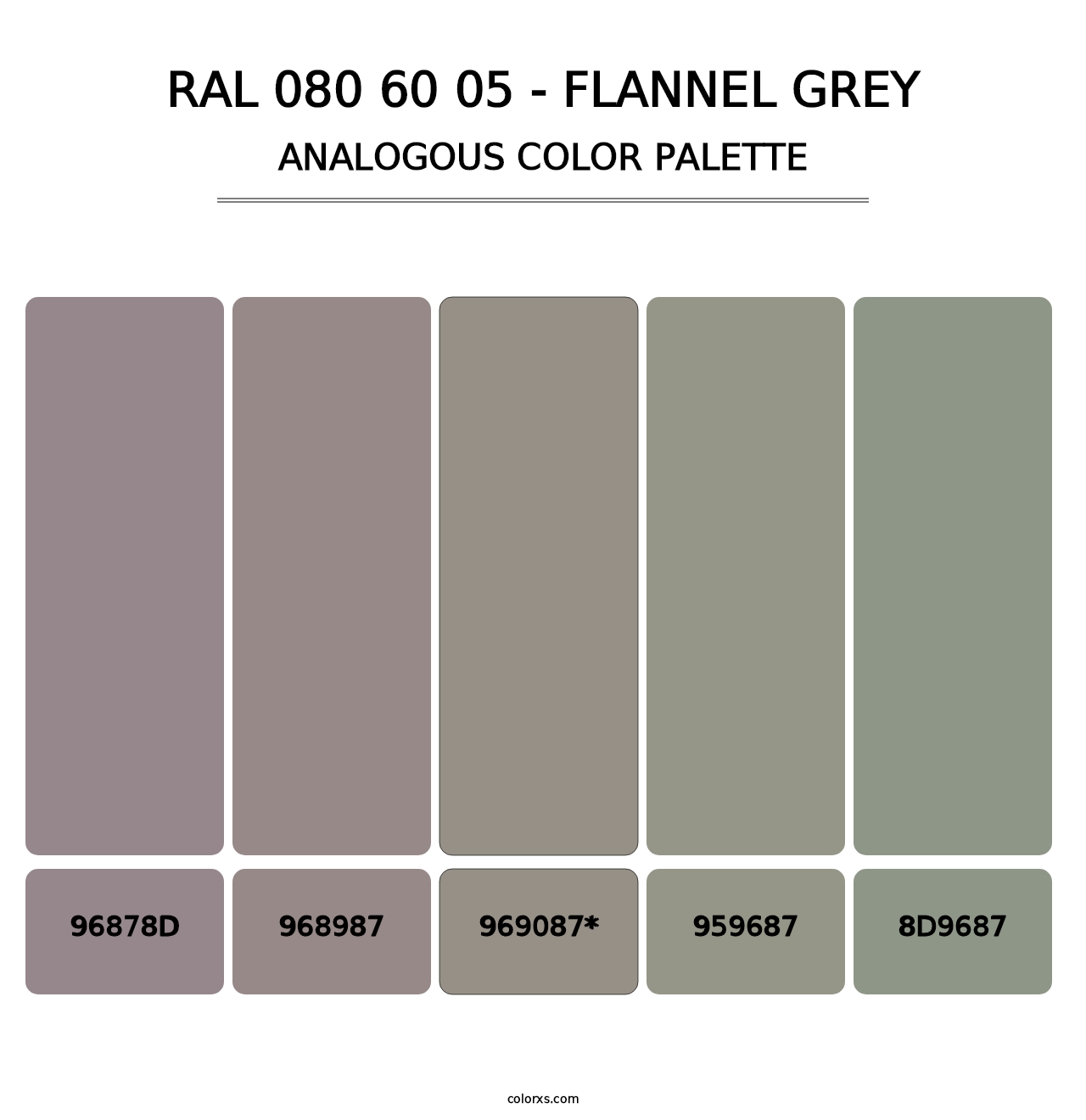 RAL 080 60 05 - Flannel Grey - Analogous Color Palette