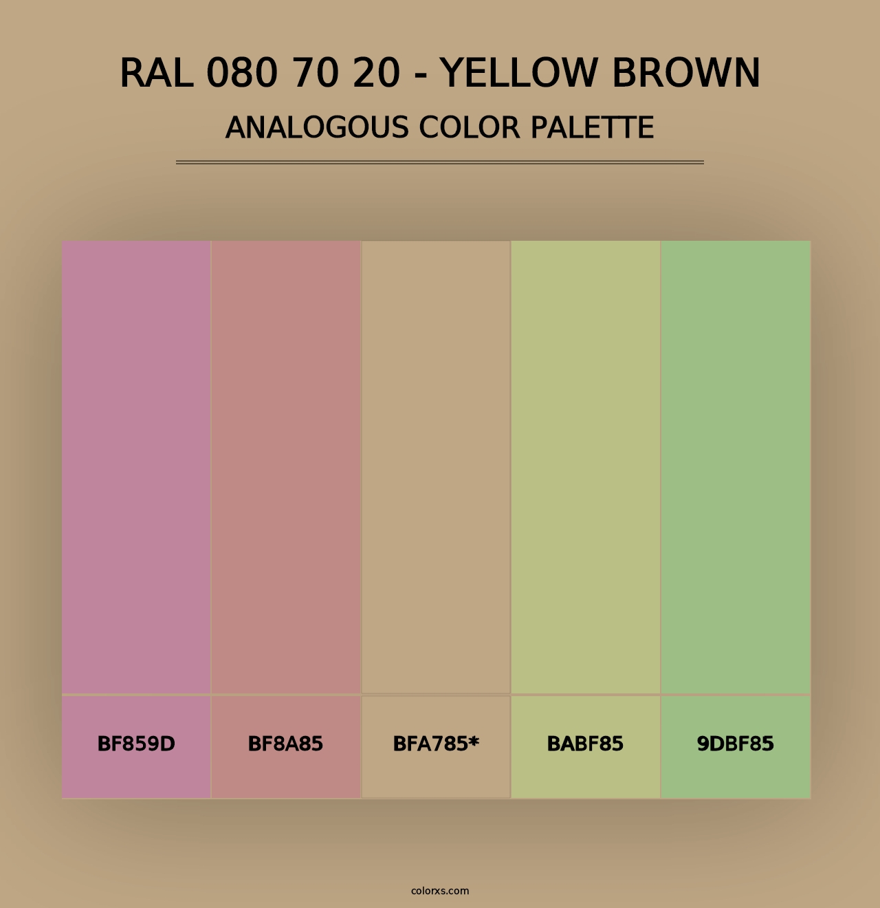 RAL 080 70 20 - Yellow Brown - Analogous Color Palette