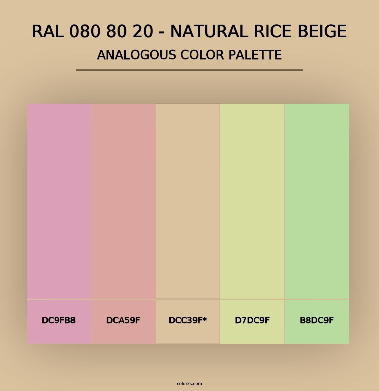 RAL 080 80 20 - Natural Rice Beige - Analogous Color Palette