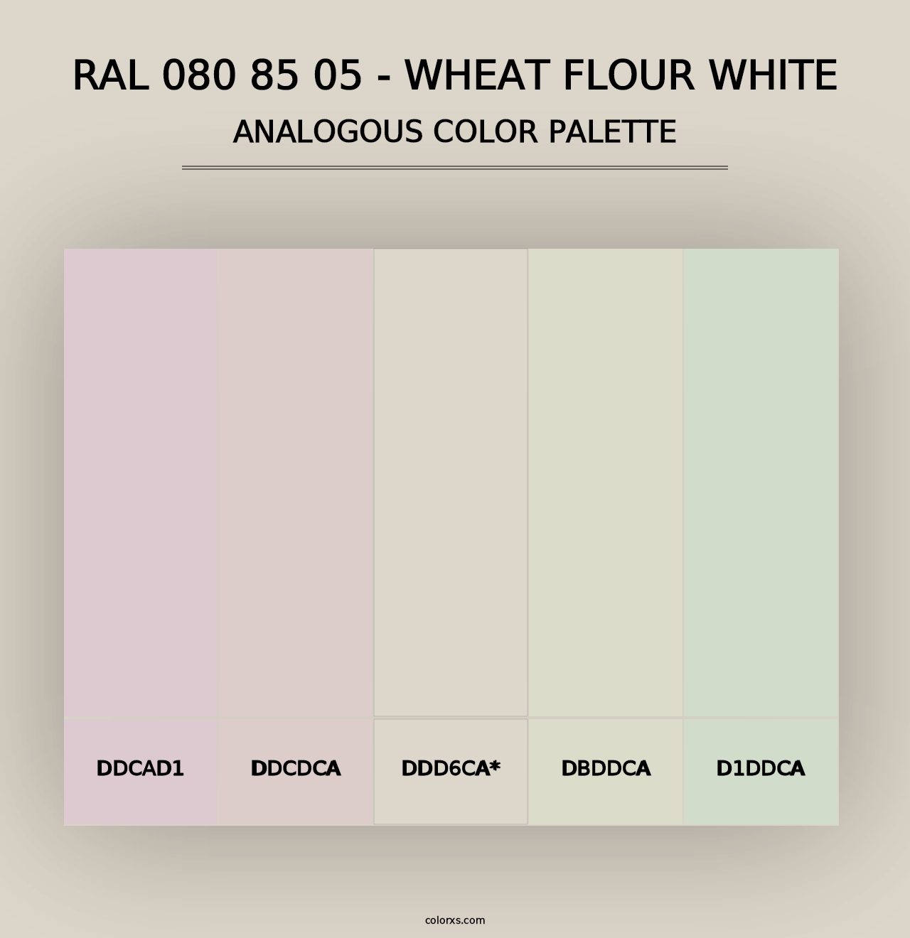 RAL 080 85 05 - Wheat Flour White - Analogous Color Palette