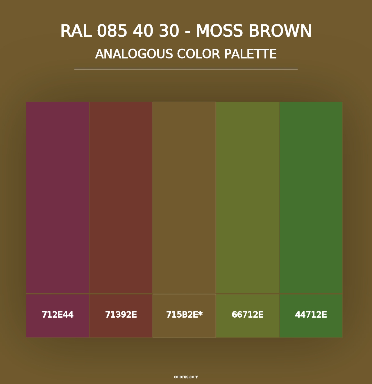 RAL 085 40 30 - Moss Brown - Analogous Color Palette