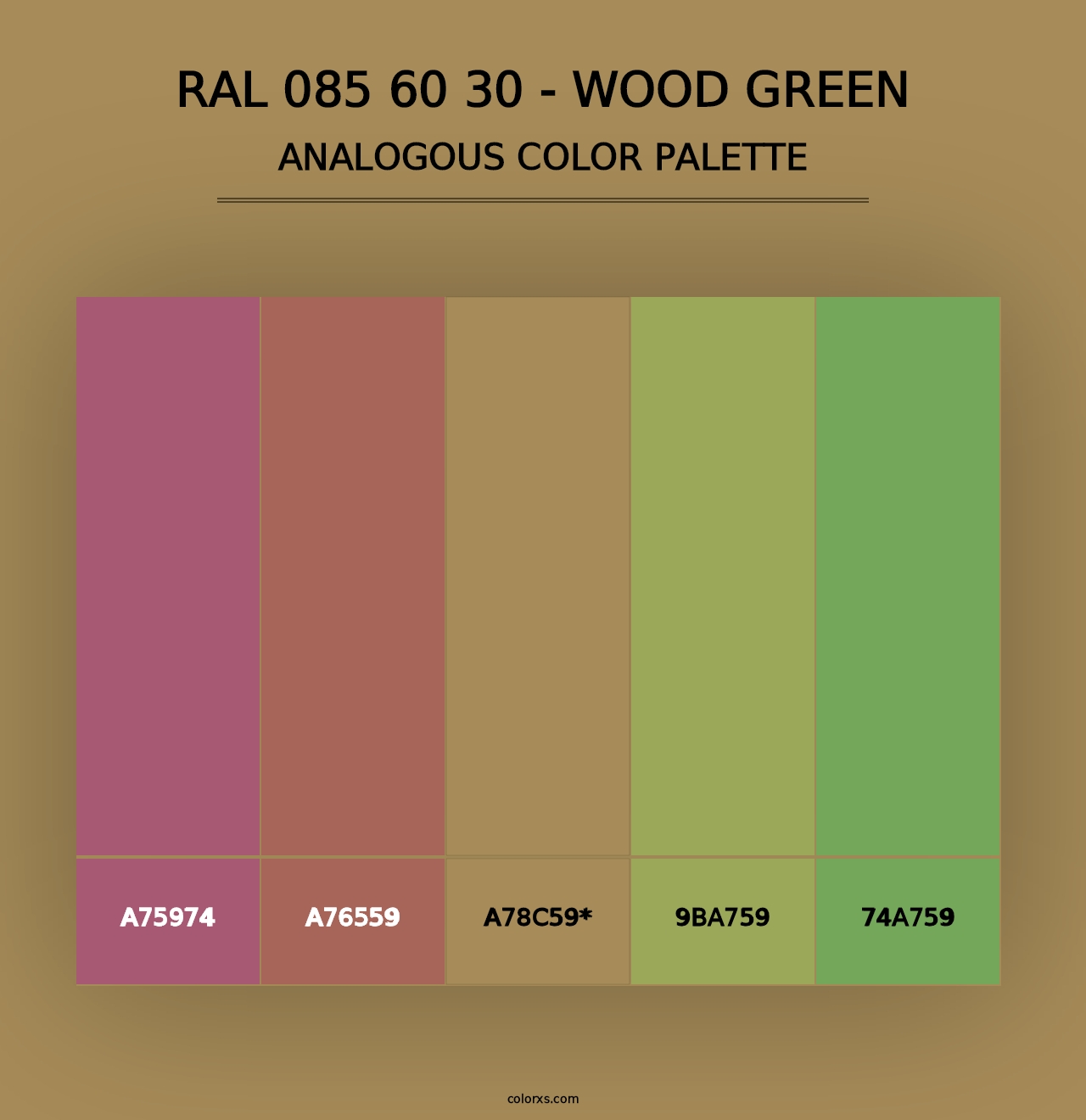 RAL 085 60 30 - Wood Green - Analogous Color Palette