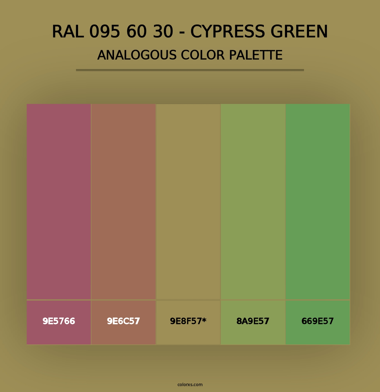 RAL 095 60 30 - Cypress Green - Analogous Color Palette