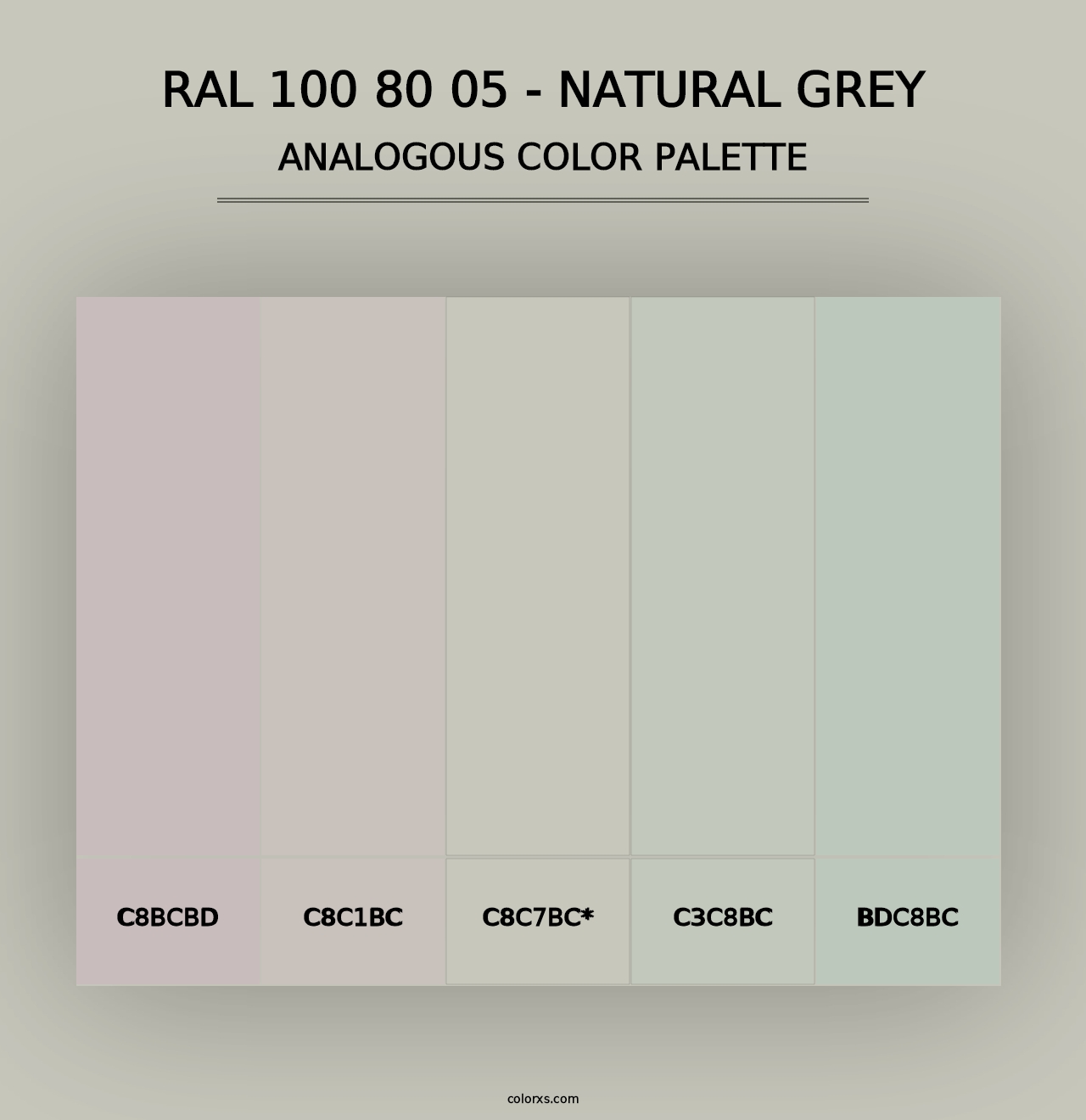 RAL 100 80 05 - Natural Grey - Analogous Color Palette