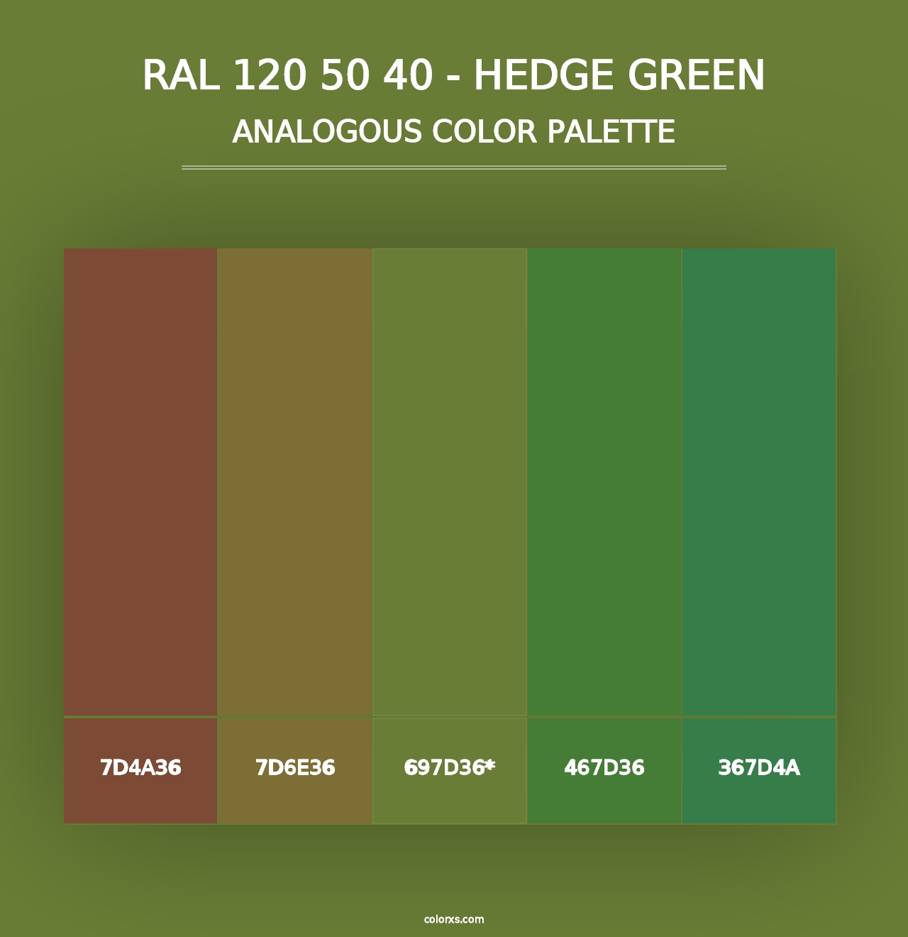 RAL 120 50 40 - Hedge Green - Analogous Color Palette