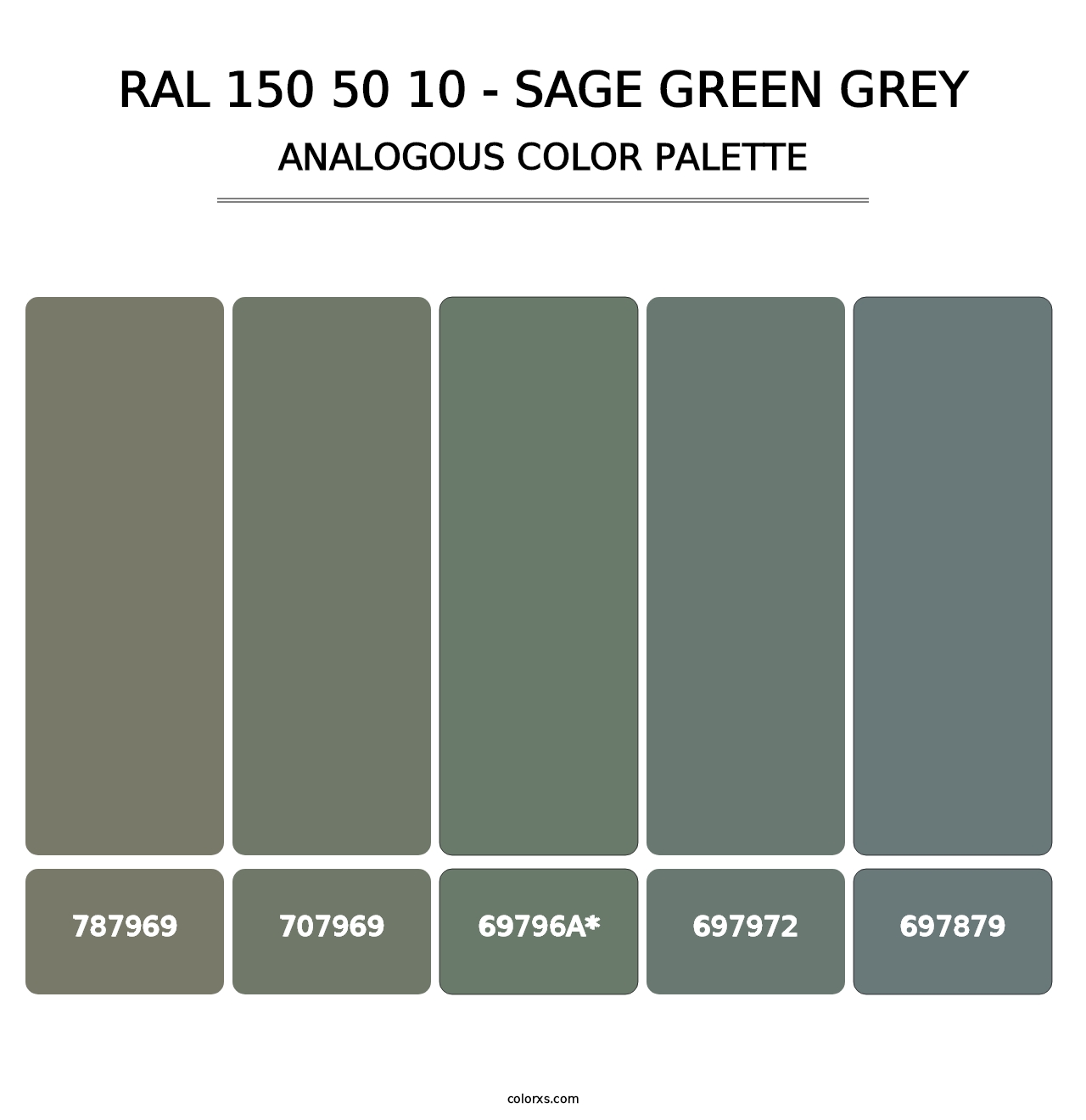 RAL 150 50 10 - Sage Green Grey - Analogous Color Palette