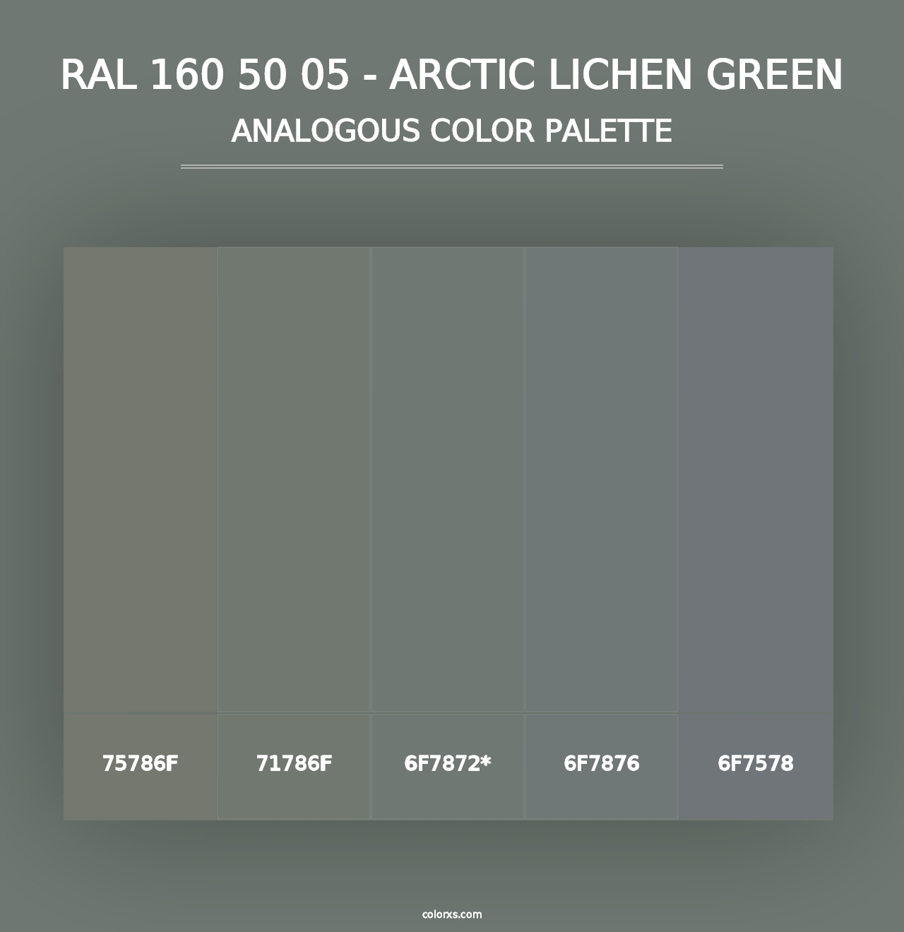 RAL 160 50 05 - Arctic Lichen Green - Analogous Color Palette