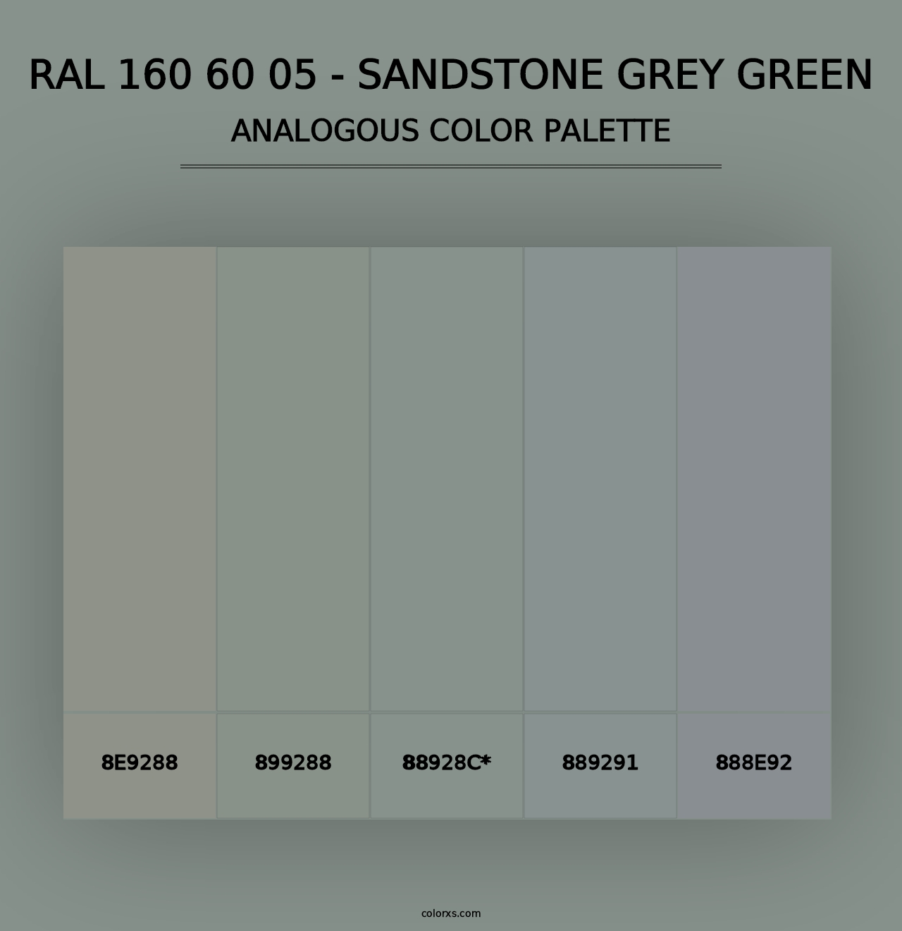 RAL 160 60 05 - Sandstone Grey Green - Analogous Color Palette