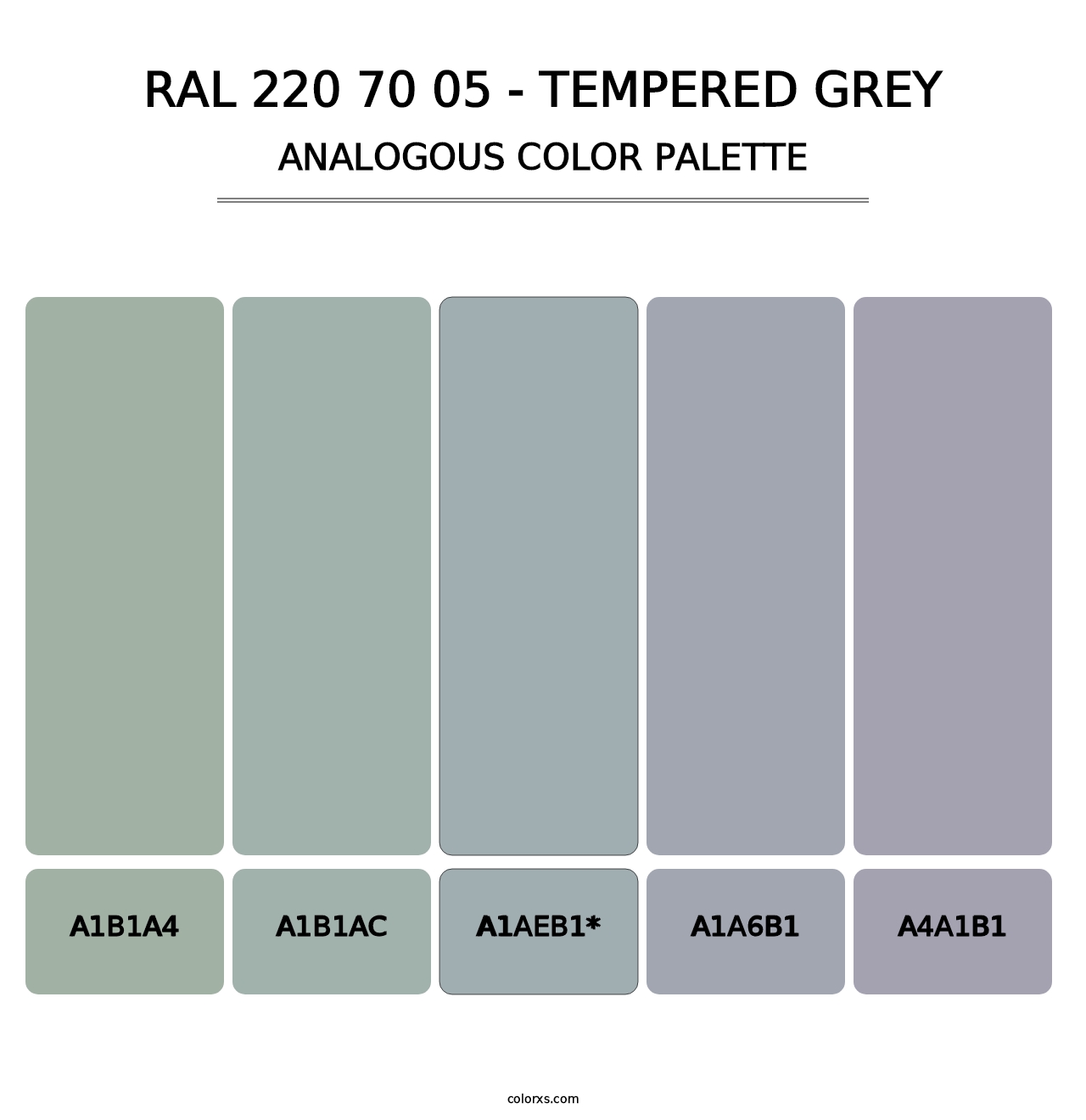 RAL 220 70 05 - Tempered Grey - Analogous Color Palette