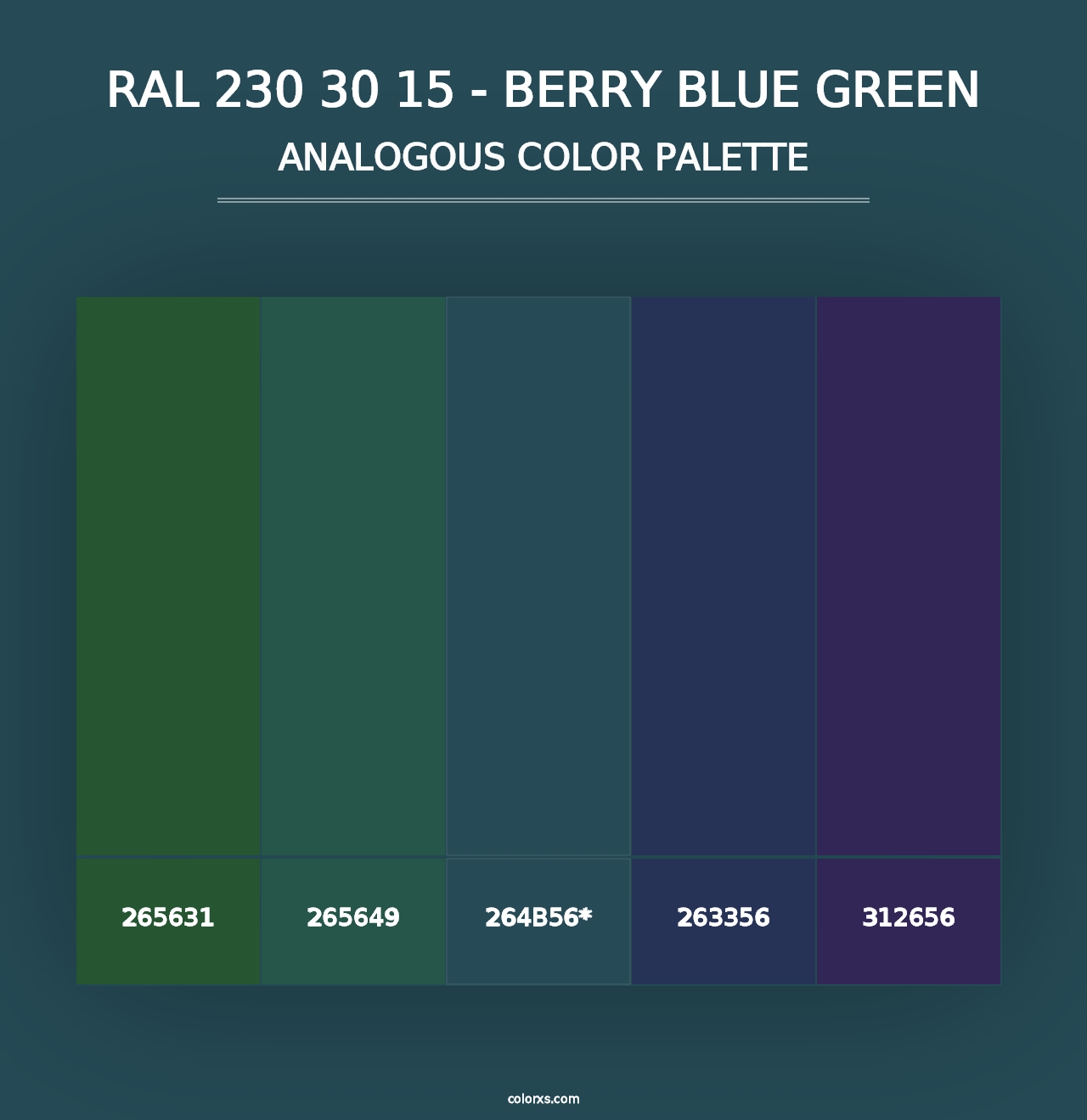 RAL 230 30 15 - Berry Blue Green - Analogous Color Palette