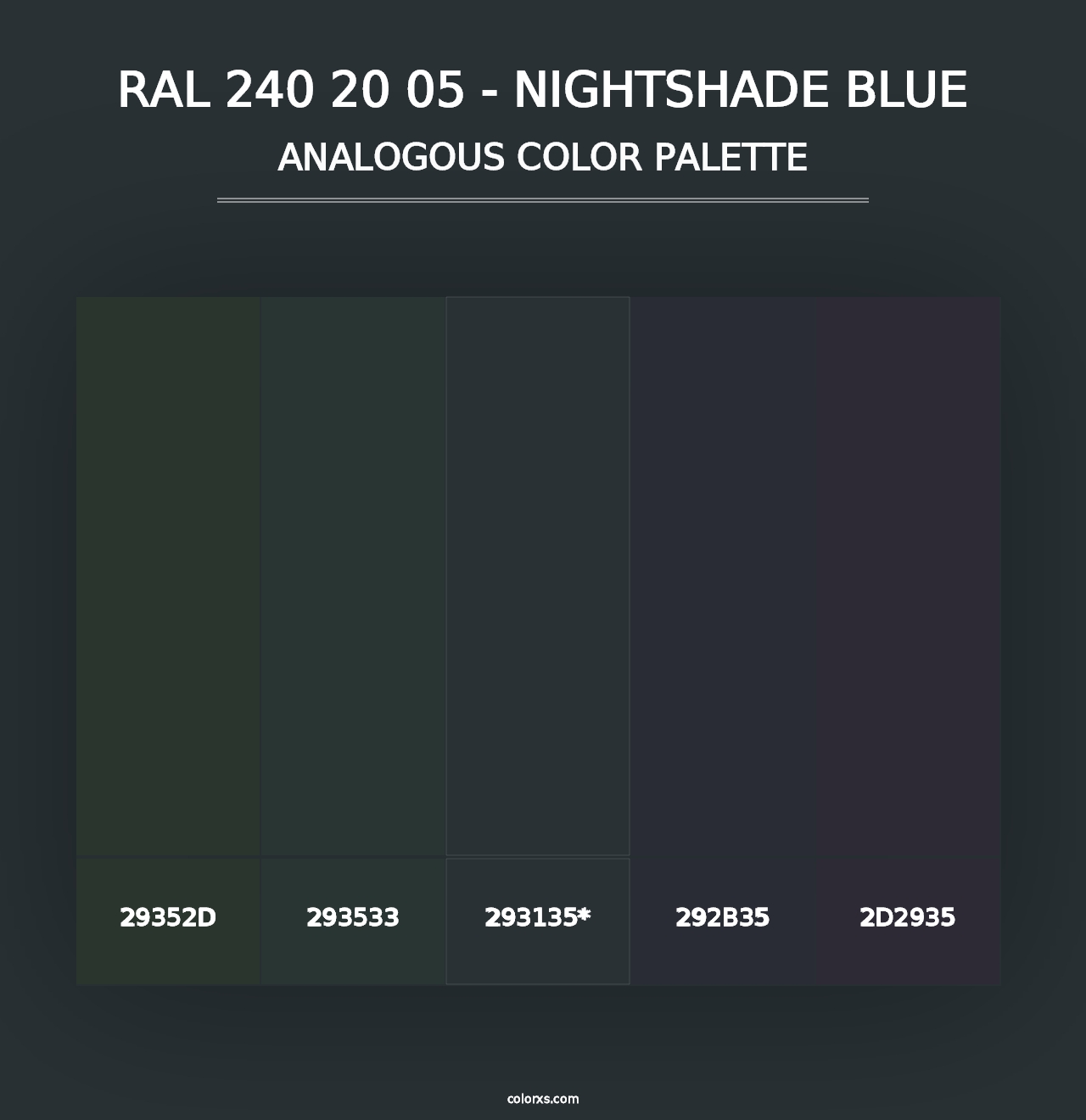 RAL 240 20 05 - Nightshade Blue - Analogous Color Palette