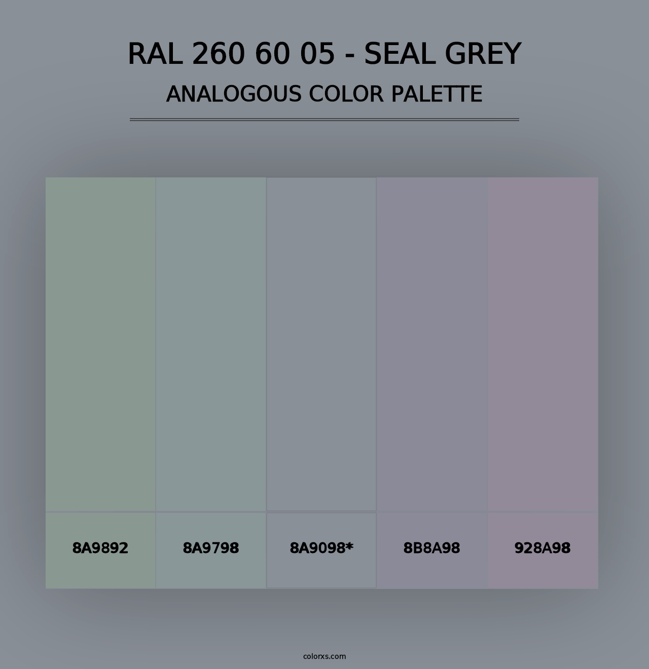 RAL 260 60 05 - Seal Grey - Analogous Color Palette