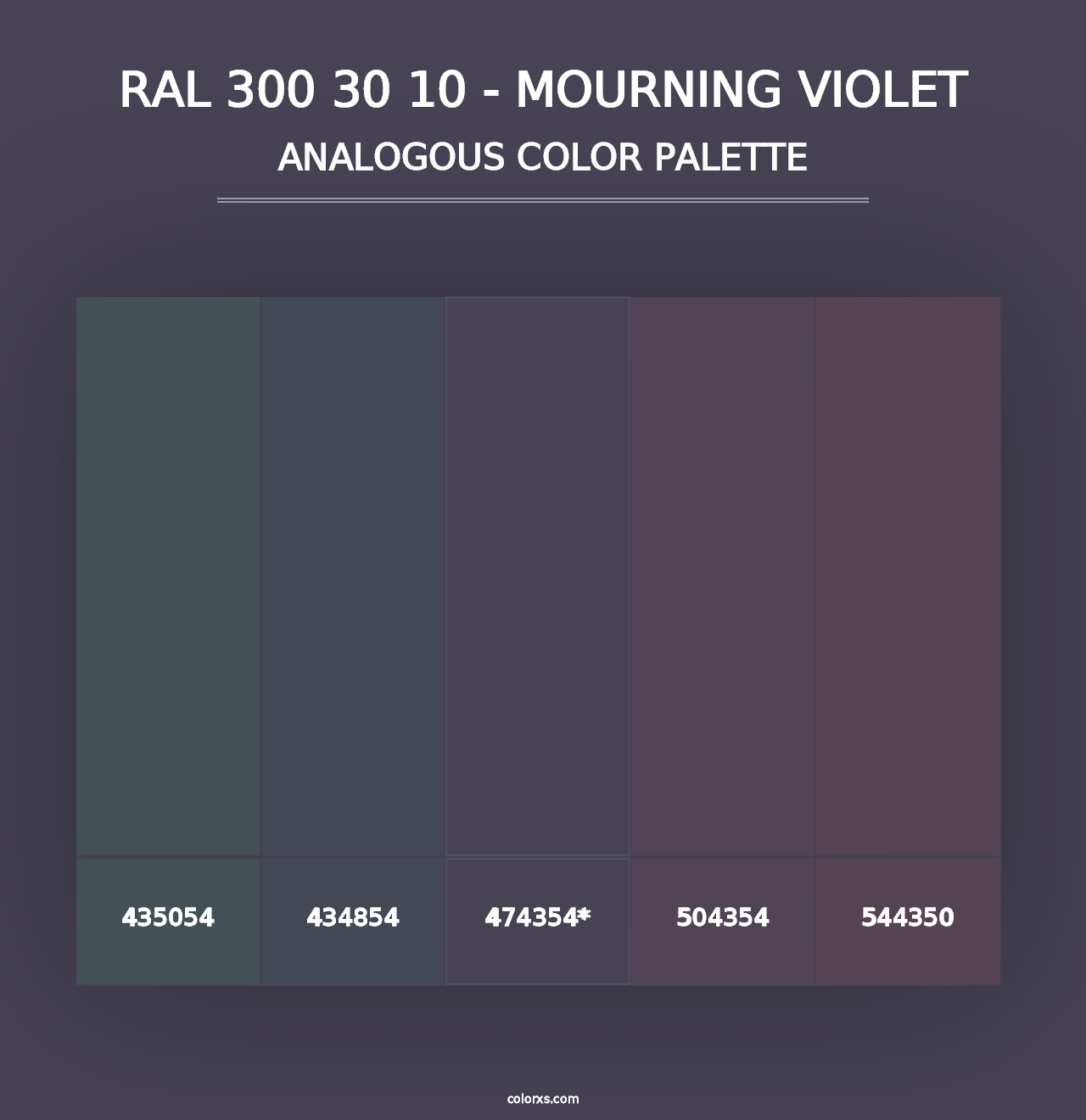 RAL 300 30 10 - Mourning Violet - Analogous Color Palette