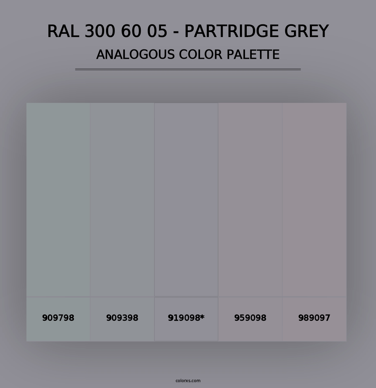 RAL 300 60 05 - Partridge Grey - Analogous Color Palette